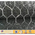 Poultry and Small Animal Wire Net Roll/Bird Cage Chicken Wire Mesh